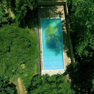 Silent Creek And Resort Vythiri
